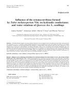 Báo cáo khoa học: 