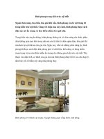 Bình phong trong kiến trúc nội thất pptx