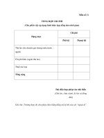 MẪU TỔNG HỢP CHI PHÍ ppt