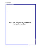 Luận văn: Mối quan hệ qua lại giữa hai nguồn vốn đầu tư docx