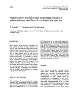 Báo cáo lâm nghiệp: 