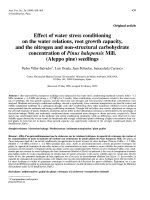 Báo cáo toán học: 