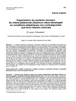 Báo cáo khoa học: 