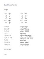 READING JAPANESE - PART 5 pps