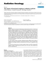 Báo cáo khoa học: 