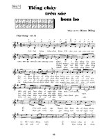 Độc tấu Harmonica part 7 ppsx