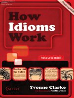 How Idioms Work docx