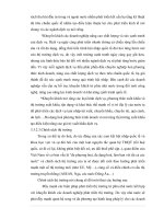 Giáo trình hướng dẫn những khả năng cạnh tranh của mặt hàng Việt Nam trên thế giới phần 3 pot