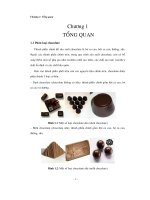 Nghiên cứu quá trình xử lý nhiệt trong sản xuất chocolate