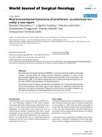 Báo cáo khoa học: 