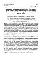 Báo cáo khoa học: 