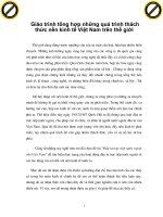 Giáo trình tổng hợp những quá trình thách thức nền kinh tế Việt Nam trên thế giới phần 1 pot