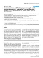 Novel dexamethasone-HPMA copolymer conjugate and its potential application in treatment of rheumatoid arthritis pdf