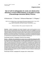 Báo cáo khoa học: 