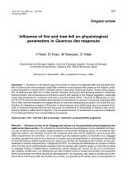 Báo cáo lâm nghiệp: 