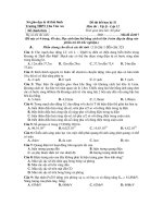 Đề thi hết học kỳ II Trường THPT Chu Văn An Môn thi : Vật lý - Mã đề số:017 ppsx