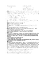 KIỂM TRA 15 PHÚT Năm học 2010-2011 MÔN THI :HÓA HỌC (vòng 1) docx