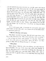 Kỹ thuật trồng hoa part 8 doc