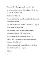 Sinh sản dinh dưỡng tự nhiên của thực vậtn pdf