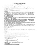 KẾ HOẠCH DẠY MẦM NON NĂM HỌC (2009-2010) doc