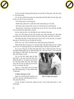 Giáo trình hướng dẫn cách tiêu hóa thức ăn ở động vật có vú và động vật bò sát phần 2 docx