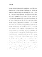 Lược đồ mã hóa MPEG hình ảnh động theo chuẩn lưu trữ số - 1 potx