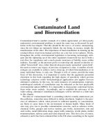 Environmental Biotechnology - Chapter 5 potx