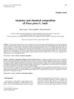 Báo cáo toán học: 