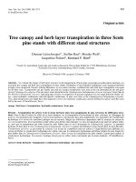 Báo cáo khoa học: 