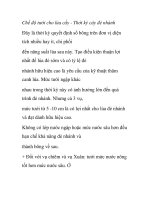 Chế độ tưới cho lúa cấy - Thời kỳ cây đẻ nhánh ppt