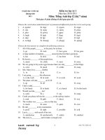 Kiểm tra học kỳ I Năm học 2010-2011 Môn: Tiếng Anh lớp 12 - Đề 1 pot