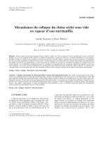 Báo cáo khoa học: 