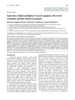 Báo cáo toán học: 