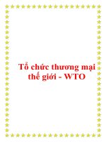 Giáo trình quan hệ kinh tế quốc tế - Tổ chức thương mại thế giới - WTO pot
