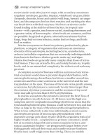 Energy A Beginner’s Guide Part 4 potx