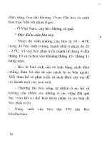 Cây thức ăn gia súc giàu chất dinh dưỡng part 2 doc