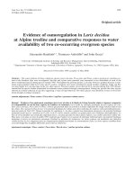 Báo cáo khoa học: 