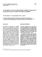 Báo cáo lâm nghiệp: 