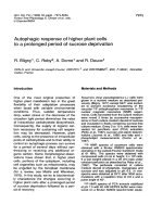 Báo cáo lâm nghiệp: 