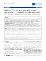 Báo cáo khoa học: 