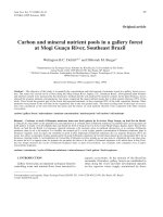 Báo cáo khoa học: 