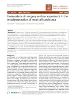 Báo cáo khoa học: 