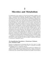 Environmental Biotechnology - Chapter 2 pps