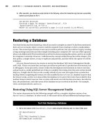 Beginning SQL Server 2008 for Developers From Novice to Professional phần 6 ppsx