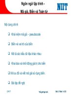 Ngôn ngữ lập trình 2 - Mã giả, biến & toán tử pptx