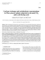 Báo cáo khoa học: 