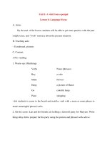 Giáo án Tiếng Anh lớp 10: Unit 1: A visit from a penpal Lesson 6: Language Focus pptx