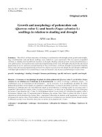 Báo cáo khoa học: 