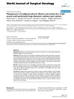 Báo cáo khoa học: 