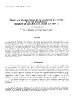 Báo cáo lâm nghiệp: 